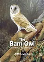 La lechuza común, guardiana del campo - Barn Owl - Guardian of the Countryside