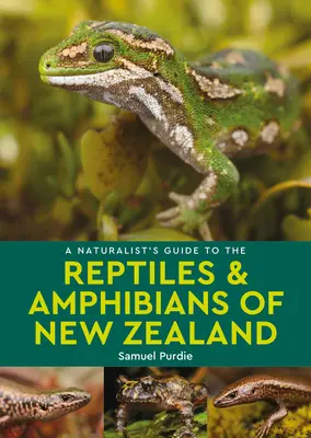 Guía naturalista de los reptiles y anfibios de Nueva Zelanda - A Naturalist's Guide to the Reptiles & Amphibians of New Zealand