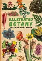 Botánica Ilustrada - El Museo Virtual de Plantas - Illustrated Botany - The Virtual Plant Museum
