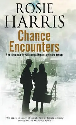 Encuentros fortuitos - Chance Encounters