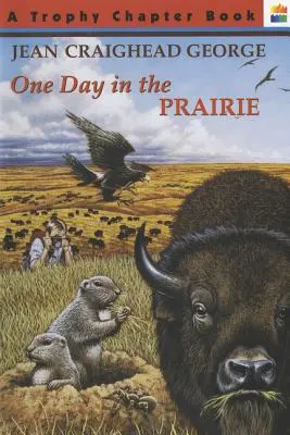 Un día en la pradera - One Day in the Prairie