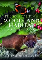 La vida secreta de un hábitat boscoso: La vida a través de las estaciones - The Secret Life of a Woodland Habitat: Life Through the Seasons