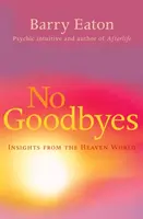 No Goodbyes - Insights From the Heaven World (Sin despedidas - Perspectivas del mundo celestial) - No Goodbyes - Insights From the Heaven World