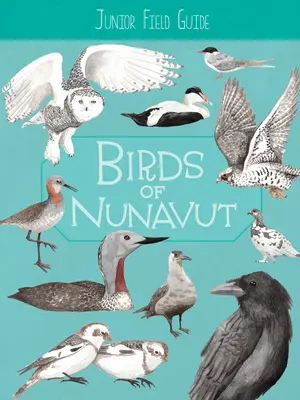 Guía de campo Junior: Birds of Nunavut: Edición en inglés - Junior Field Guide: Birds of Nunavut: English Edition