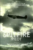 Piloto de Spitfire - Spitfire Pilot