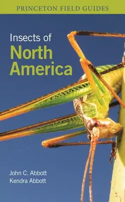 Insectos de Norteamérica - Insects of North America