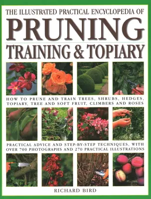 Enciclopedia Práctica Ilustrada de Poda, Formación y Topiaria: Cómo Podar y Entrenar Árboles, Arbustos, Setos, Topiarios, Árboles y Frutos Blandos, Trepa - Illustrated Practical Encyclopedia of Pruning, Training and Topiary: How to Prune and Train Trees, Shrubs, Hedges, Topiary, Tree and Soft Fruit, Climb