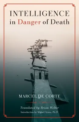 Inteligencia en peligro de muerte (edición inglesa) - Intelligence in Danger of Death (English edition)
