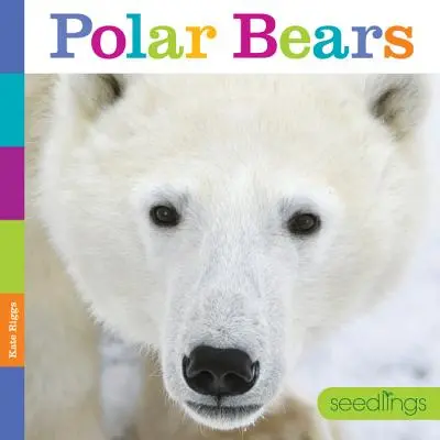 Semilleros: Osos Polares - Seedlings: Polar Bears