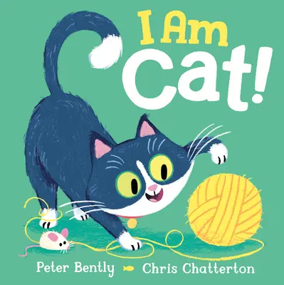 Soy gato - I Am Cat!