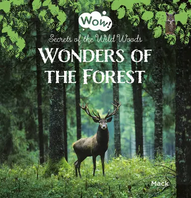 Maravillas del bosque. Secretos de los bosques salvajes - Wonders of the Forest. Secrets of the Wild Woods