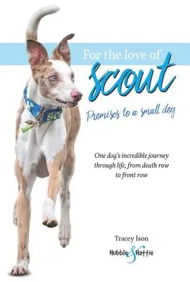 Por amor a Scout: Promesas a un perro pequeño - For the Love of Scout: Promises to a Small Dog