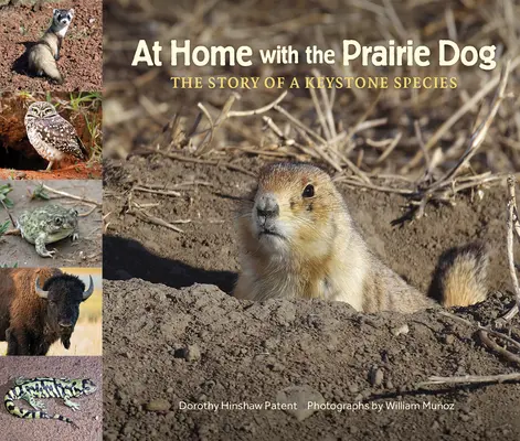 En casa con el perrito de las praderas: La historia de una especie clave - At Home with the Prairie Dog: The Story of a Keystone Species