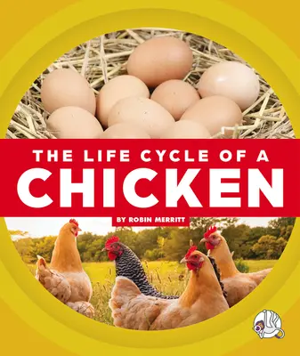 El ciclo vital del pollo - The Life Cycle of a Chicken