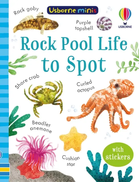 Vida en la piscina - Rock Pool Life to Spot