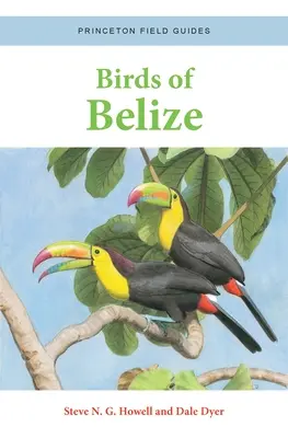 Aves de Belice - Birds of Belize