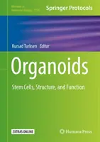 Organoides: Células madre, estructura y función - Organoids: Stem Cells, Structure, and Function