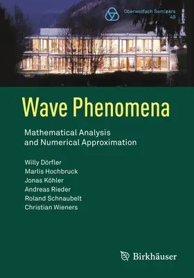 Fenómenos ondulatorios: Análisis matemático y aproximación numérica - Wave Phenomena: Mathematical Analysis and Numerical Approximation