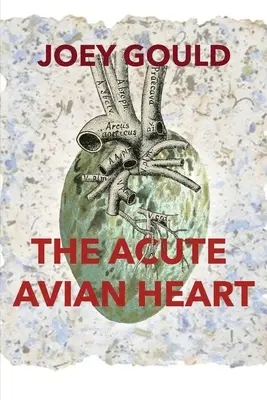 El agudo corazón aviar - The Acute Avian Heart