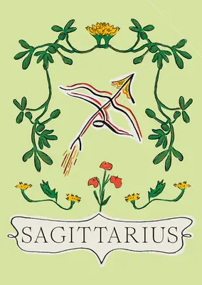 Sagitario - Sagittarius