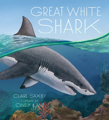 Gran tiburón blanco - Great White Shark