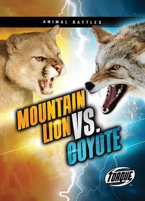 León de montaña contra coyote - Mountain Lion vs. Coyote