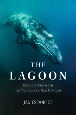 La laguna: Encuentros con las ballenas de San Ignacio - The Lagoon: Encounters with the Whales of San Ignacio