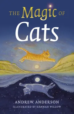 La magia de los gatos - The Magic of Cats