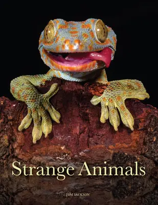 Animales extraños - Strange Animals