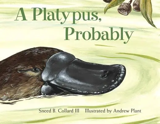 Un ornitorrinco, probablemente - A Platypus, Probably