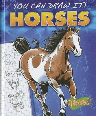 Caballos - Horses