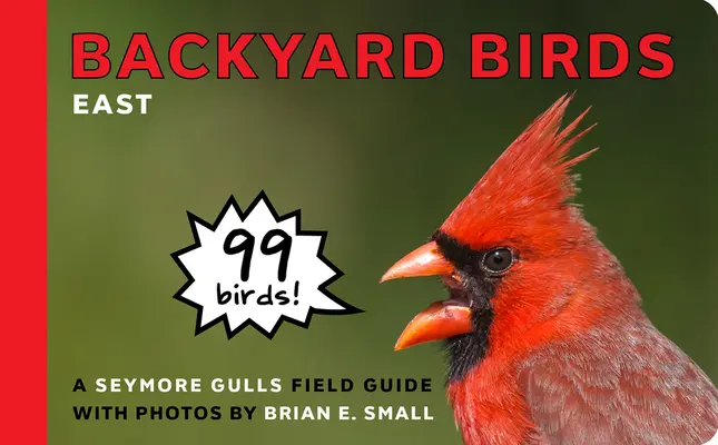 Aves de traspatio: Este - Backyard Birds: East