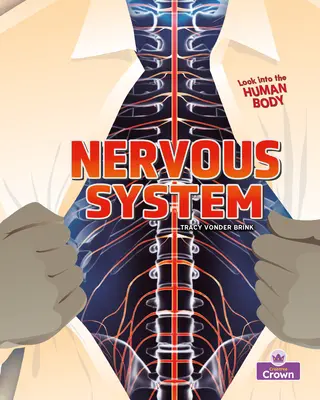 Sistema nervioso - Nervous System