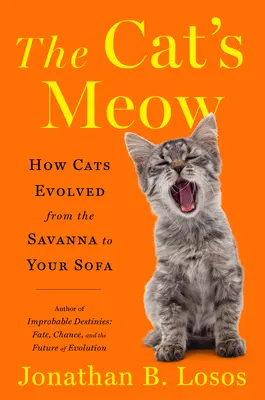 El maullido del gato: Cómo evolucionaron los gatos desde la sabana hasta su sofá - The Cat's Meow: How Cats Evolved from the Savanna to Your Sofa