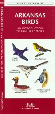 Aves de Nebraska: Una introducción a las especies conocidas - Nebraska Birds: An Introduction to Familiar Species