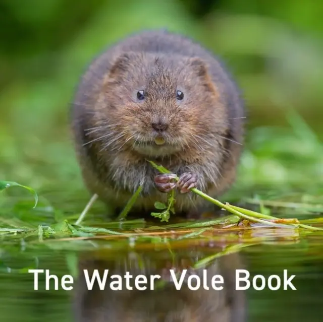 Libro del topillo de agua - Water Vole Book