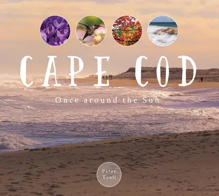 Cape Cod: Una vez alrededor del Sol - Cape Cod: Once Around the Sun