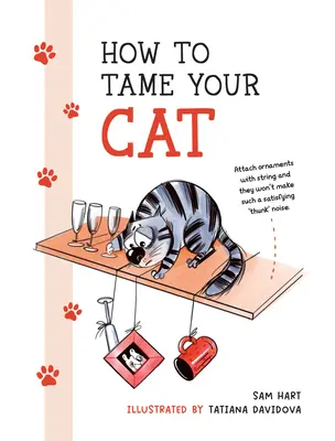 Cómo domar a su gato - How to Tame Your Cat