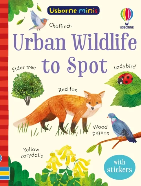 Observar la fauna urbana - Urban Wildlife to Spot