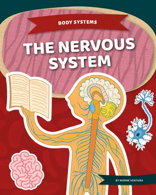 El sistema nervioso - The Nervous System