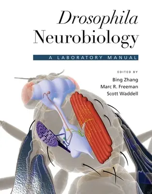 Neurobiología de Drosophila: Manual de laboratorio - Drosophila Neurobiology: A Laboratory Manual