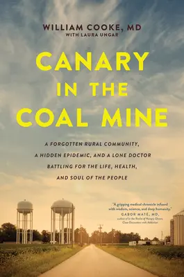 El canario en la mina de carbón: A Forgotten Rural Community, a Hidden Epidemic, and a Lone Doctor Battling for the Life, Health, and Soul of the Peopl - Canary in the Coal Mine: A Forgotten Rural Community, a Hidden Epidemic, and a Lone Doctor Battling for the Life, Health, and Soul of the Peopl