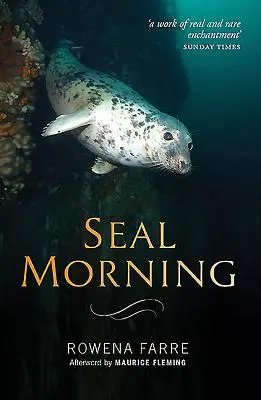 Mañana de foca - Seal Morning