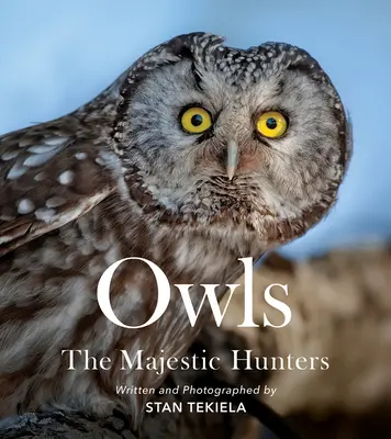 Búhos: Los Majestuosos Cazadores - Owls: The Majestic Hunters