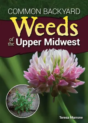 Malezas comunes del Medio Oeste Superior - Common Backyard Weeds of the Upper Midwest