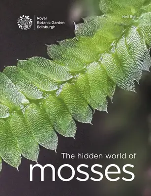 El mundo oculto de los musgos - The Hidden World of Mosses