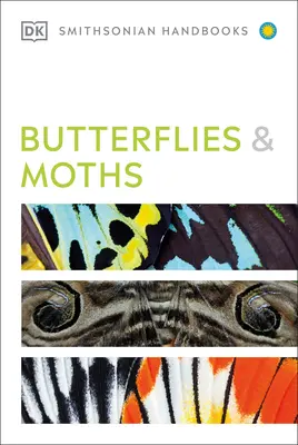 Mariposas y polillas - Butterflies and Moths