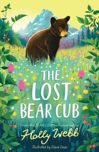 Cachorro Oso Perdido - Lost Bear Cub