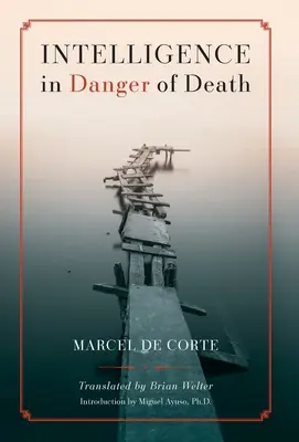 Inteligencia en peligro de muerte (edición en inglés) - Intelligence in Danger of Death (English edition)