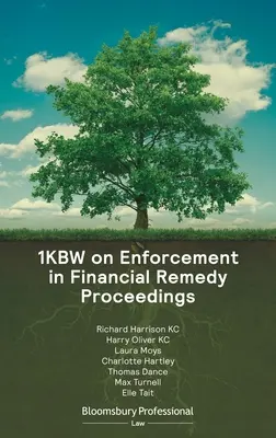 1kbw sobre la ejecución en los procedimientos de recursos financieros - 1kbw on Enforcement in Financial Remedy Proceedings